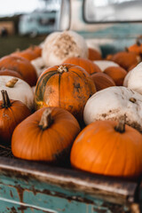 pumpkins and gourds