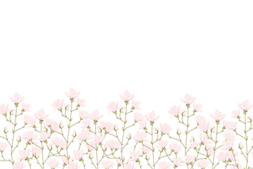 Magnolia flowers background illustration