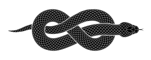 Vector tattoo design of snake curled into a figure eight knot. Isolated black serpent silhouette. - 539677694