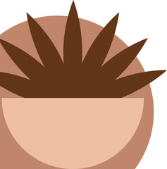 Aesthetic Plant Corner (7)