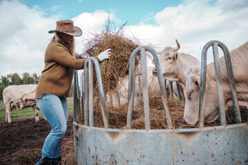 Shot of cowboy woman with hat dressed in sweater working on agricultural field.