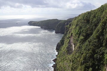 full of green coastline of Nusa Penida