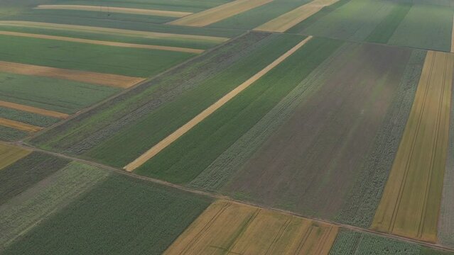 Abstract agricultural background, beautiful colorful patchwork pattern of cultivated fields from drone pov