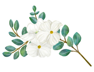 Obraz premium White Dogwood flowers and leaves,watercolor illustration.