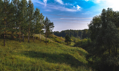 forest and sky