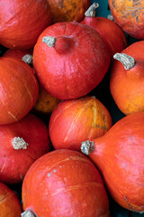 Eine Kiste Hokkaido  K&uuml;rbisse