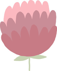 Beautiful png floral illustration with drawn flower. Stock clip art. Wedding rose