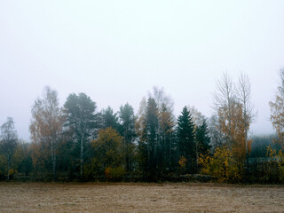 A foggy morning of rural Toten, Norway.