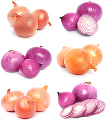 Fresh onion isolated on white background