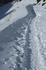 Path in the snowy mountain 
