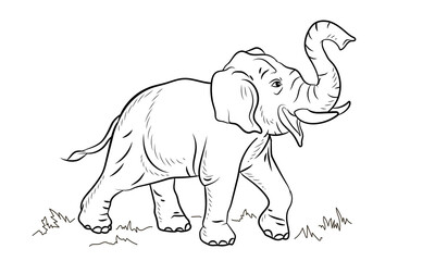 Animals. Black and white image of a large elephant, coloring book for children. Vector image.