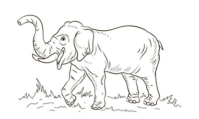 Animals. Black and white image of a large elephant, coloring book for children. Vector image.