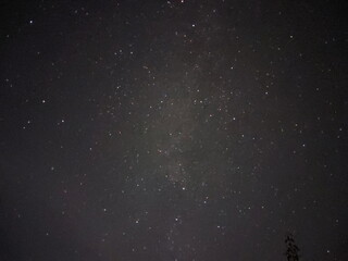 Bright night starry sky in the village