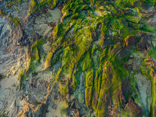 Fototapeta na wymiar Sunrise over the mossy green rock platform