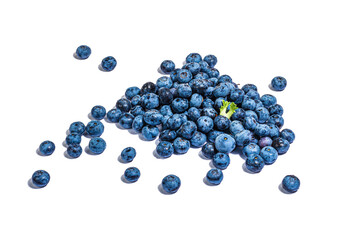 Bowl of ripe blueberries isolated on white background. Fresh fruits, ingredients of healthy food