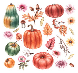 Watercolor autumn set on a white background