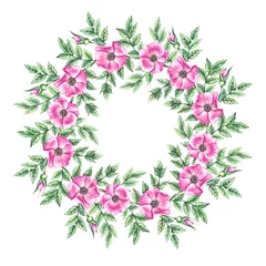 Foto op Plexiglas Watercolor rosehip wreath on a white background © SashaKondr