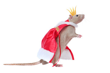 Profile picture of a rat king in a cape and a crown against white background