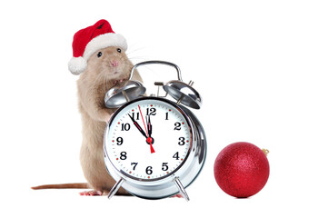 Rat wearing Santa hat standing  next to retro alarm clock