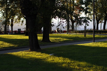 Urban park in the city