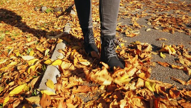 slow motion female legs in black boots walk over the yellow autumn foliage on the sidewalk, dark shoes stepping on golden fallen leaves, copy space.