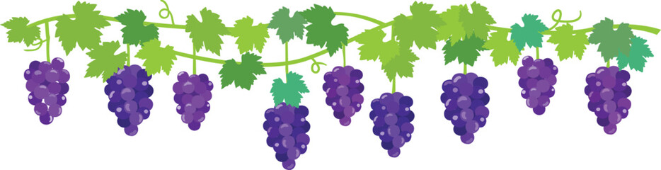 青紫の葡萄の房