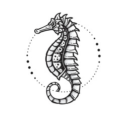 Seahorse hand drawn in a line art style vector