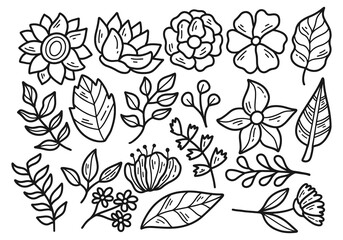 Set of Botanical Flower Doodle