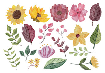 Set of Botanical Flower Watercolor