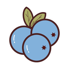 Blueberry Fruit Element