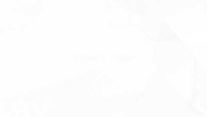 Abstract light gray and white line curve smooth modern wave texture with space background vector illustration