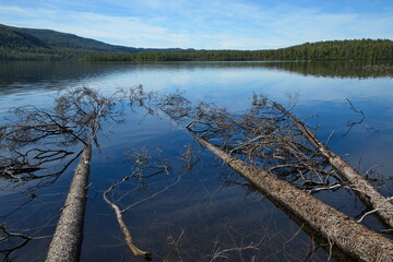 View of Byers Lake in Denali National Park and Preserve,Alaska,United States,North America

