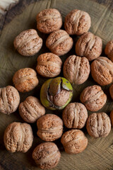 Walnut Nuts  -  healthy food, produce the juglans regia tree in the nut orchard.