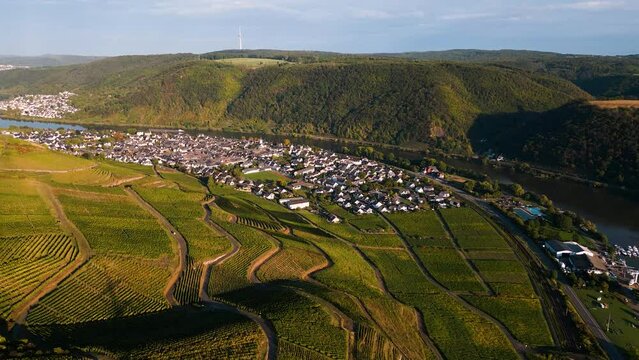 Aerial drone flight along vineyards at the river mosel in autumn - living in romantic village atmosphere in a german wine region - Winningen, Rhineland-Palatinate, Germany 2022