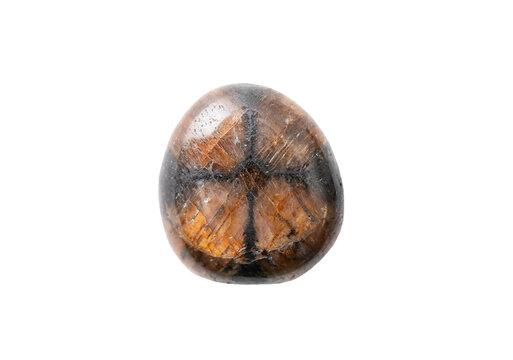 Tumbled gemstone crystal called chiastolite known as cross stone isolated on white background, studio shot. Brown stone with black cross. Lapis crucifer or lapis cruciatur.