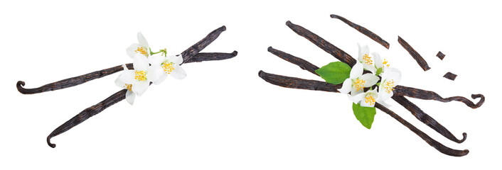 Vanilla sticks with flower and leaf isolated on white background. Top view. Flat lay