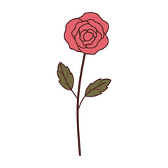 Fototapeta premium flat rose element illustration
