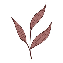 simple rustic leaf vector element