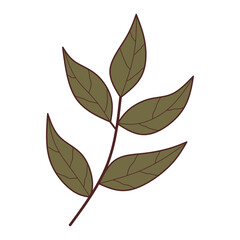 leaves vector element