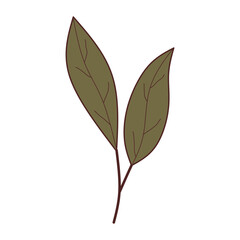 Obraz premium simple leaf