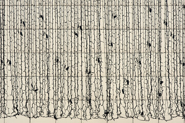 Wall covered with simple neon streetlights and their shadows