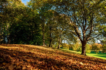 Naklejka premium Herbstliche Impressionen im Kieler Werftpark im Sonnenlicht
