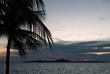 Naklejka na ściany i meble Palm tree silhouette on sea sunset pink background.