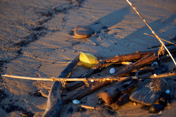 Yellow autumn leaf on a sea beach sand, selective focus