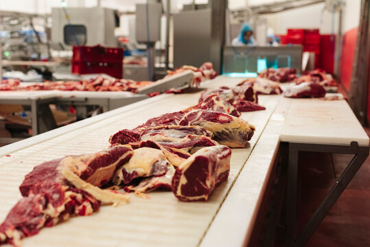 Pieces of beef meat on a conveyor in the slaughterhouse, selective focus. Meat processing plant, cutting meat.