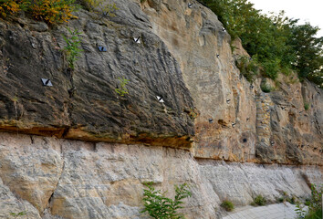 reinforcing the slope with a steel net anchored deep into the rock. falling loose rock stones do...