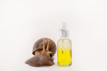 Snail Achatina. Natural organic cosmetics. Skin care cosmetics with Snail mucus