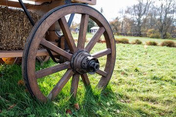 Fototapeta premium Wooden wheel on horse cart. Sunny autumn day