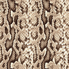 Seamless snake texture, python pattern.