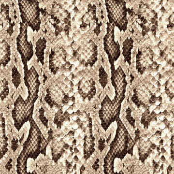 Seamless snake texture, python pattern.